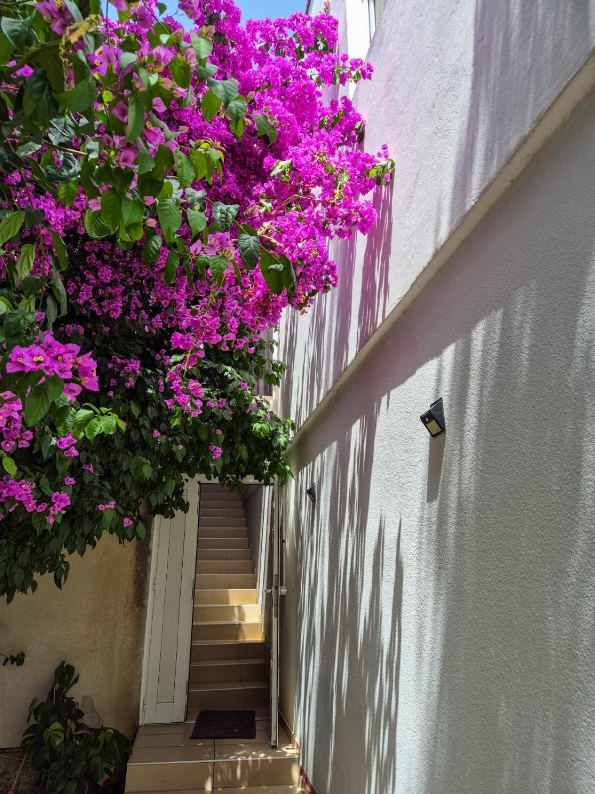 Apartments And Pansion M&R トゥラニ エクステリア 写真